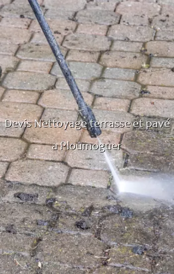 Devis Nettoyage terrasse et pavé a Ploumoguer