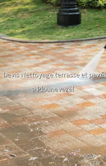 Devis Nettoyage terrasse et pavé a Plounevezel
