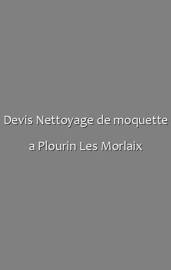 Devis Nettoyage de moquette a Plourin Les Morlaix