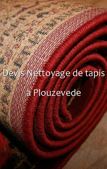 Devis Nettoyage de tapis a Plouzevede