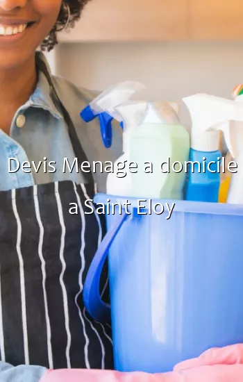 Devis Menage a domicile a Saint Eloy