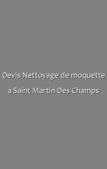Devis Nettoyage de moquette a Saint Martin Des Champs