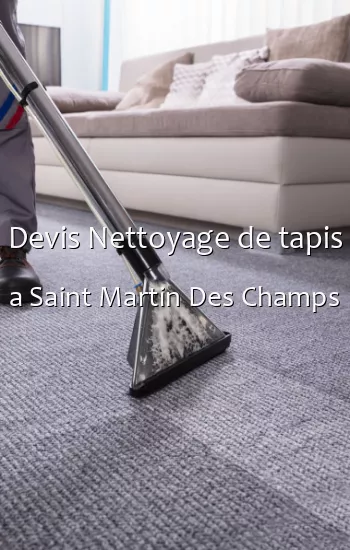 Devis Nettoyage de tapis a Saint Martin Des Champs
