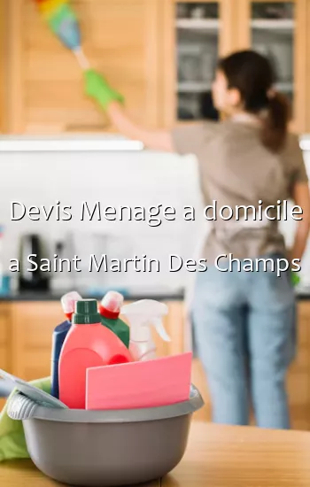 Devis Menage a domicile a Saint Martin Des Champs