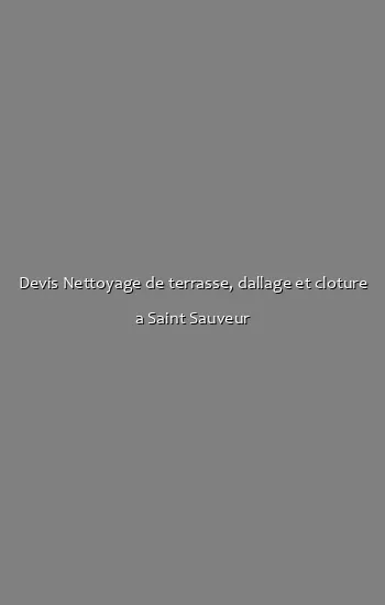 Devis Nettoyage de terrasse, dallage et cloture a Saint Sauveur