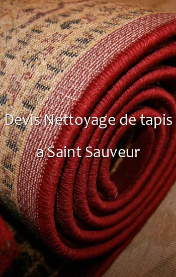 Devis Nettoyage de tapis a Saint Sauveur