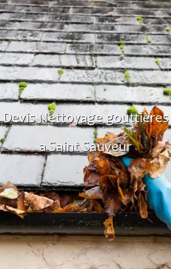 Devis Nettoyage gouttières a Saint Sauveur
