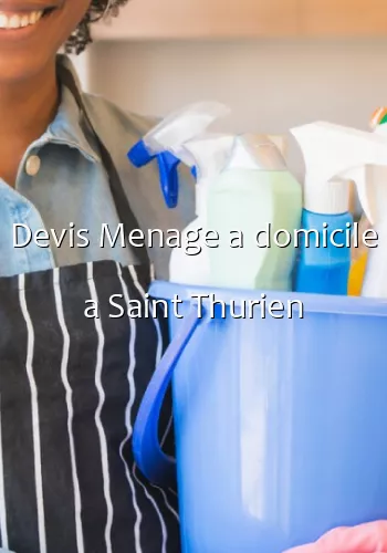 Devis Menage a domicile a Saint Thurien