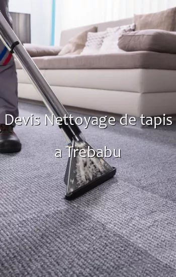Devis Nettoyage de tapis a Trebabu