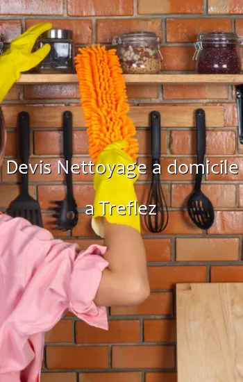 Devis Nettoyage a domicile a Treflez