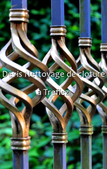 Devis Nettoyage de cloture a Treflez