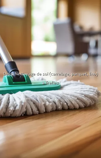 Devis Nettoyage de sol (carrelage, parquet, lino) a Treflez