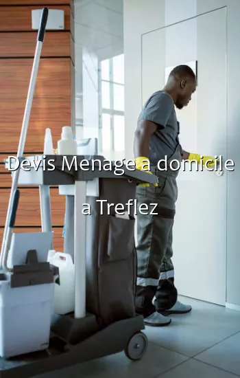 Devis Menage a domicile a Treflez