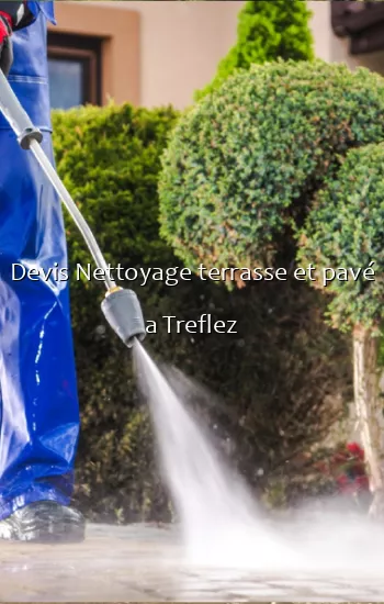 Devis Nettoyage terrasse et pavé a Treflez
