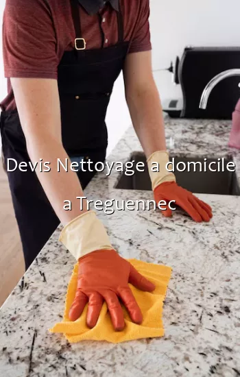 Devis Nettoyage a domicile a Treguennec