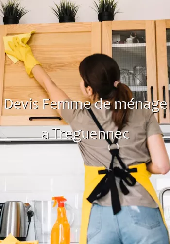Devis Femme de ménage a Treguennec