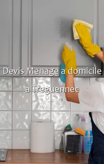 Devis Menage a domicile a Treguennec