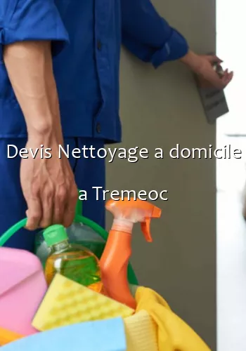 Devis Nettoyage a domicile a Tremeoc