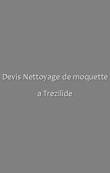 Devis Nettoyage de moquette a Trezilide